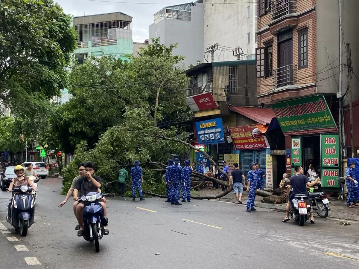 Khu vực Hà Đông nhanh chóng dọn dẹp cây gẫy đổ sau bão số 3, đón mưa lớn có thể xảy ra