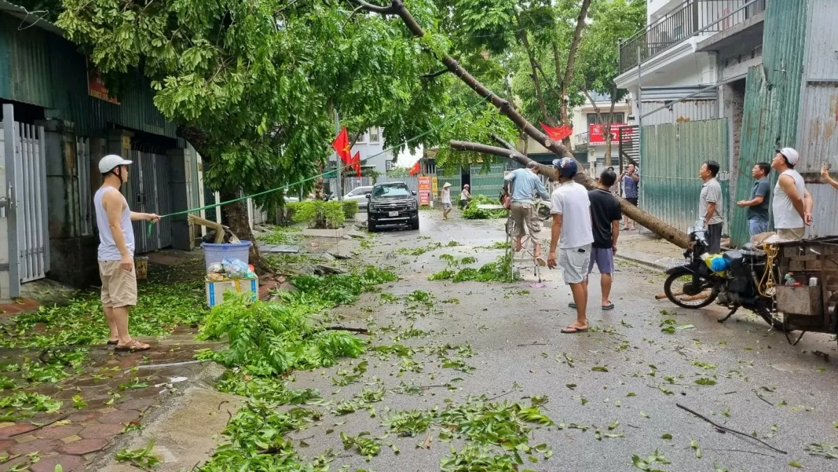 Người dân chủ động quét đường, chặt các cành cây có nguy cơ gãy đổ để đảm bảo an toàn cho người dân.