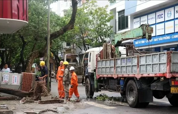 Sau bão số 3, Thái Bình ưu tiên  khắc phục sự cố về điện để phục vụ đời sống người dân