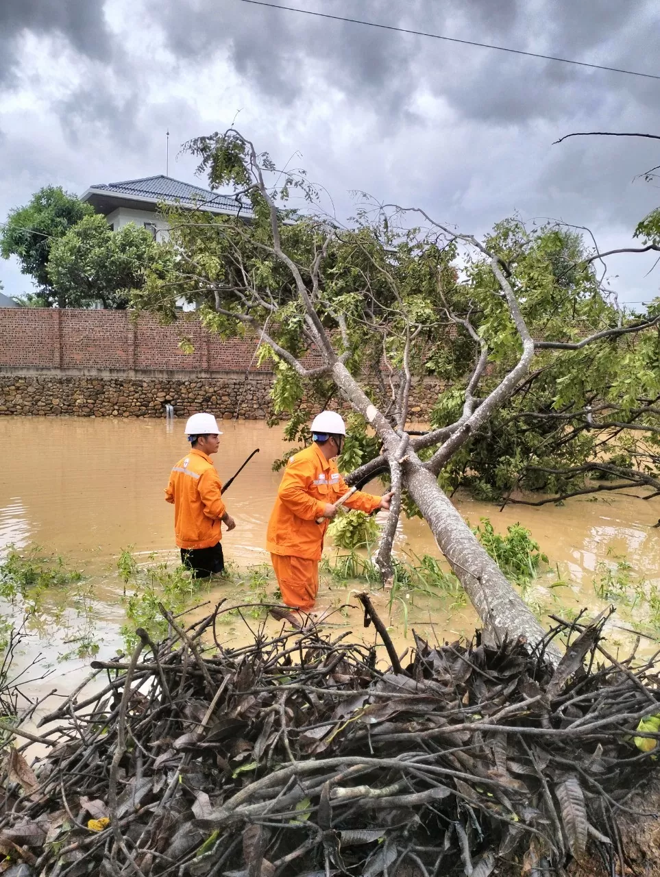 Nhiều địa phương được cấp điện trở lại trong ngày 8/9