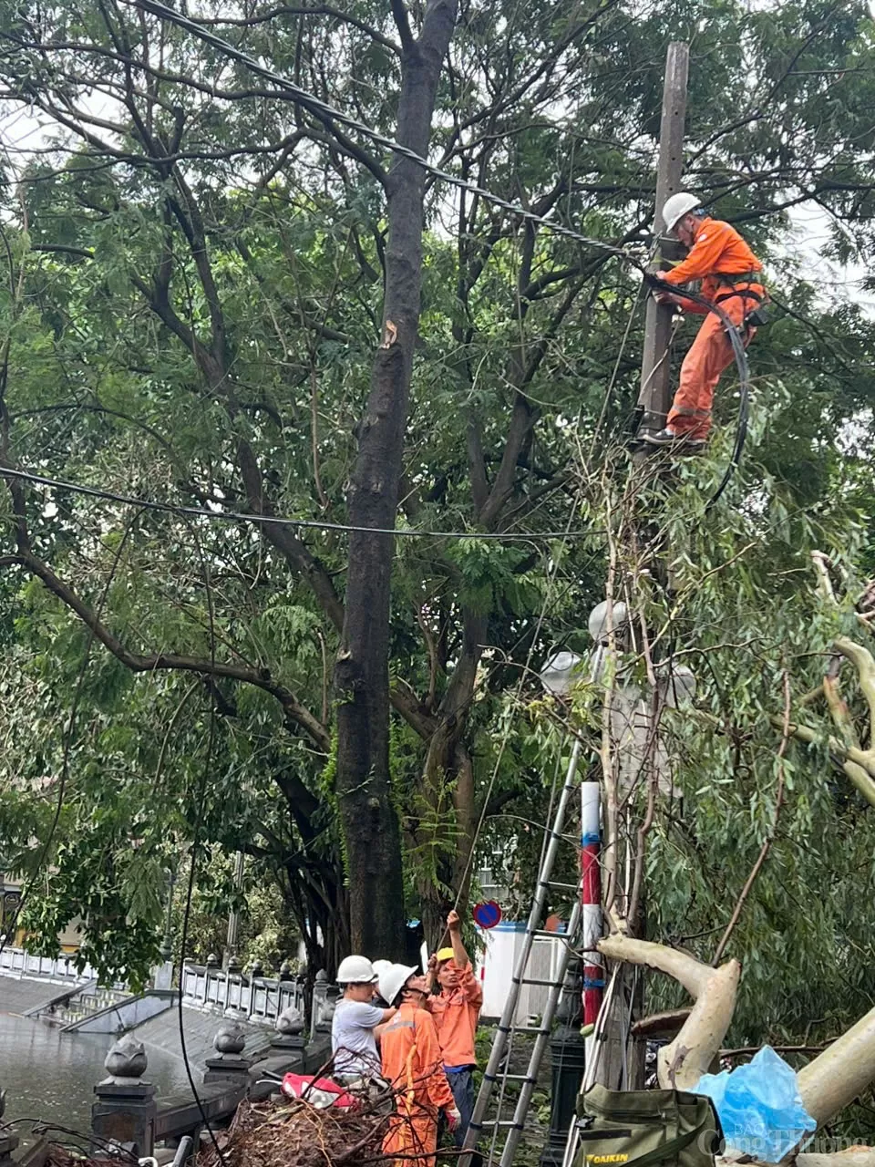 Cập nhật tình hình khắc phục sự cố sau bão số 3 của ngành điện Hà Nội