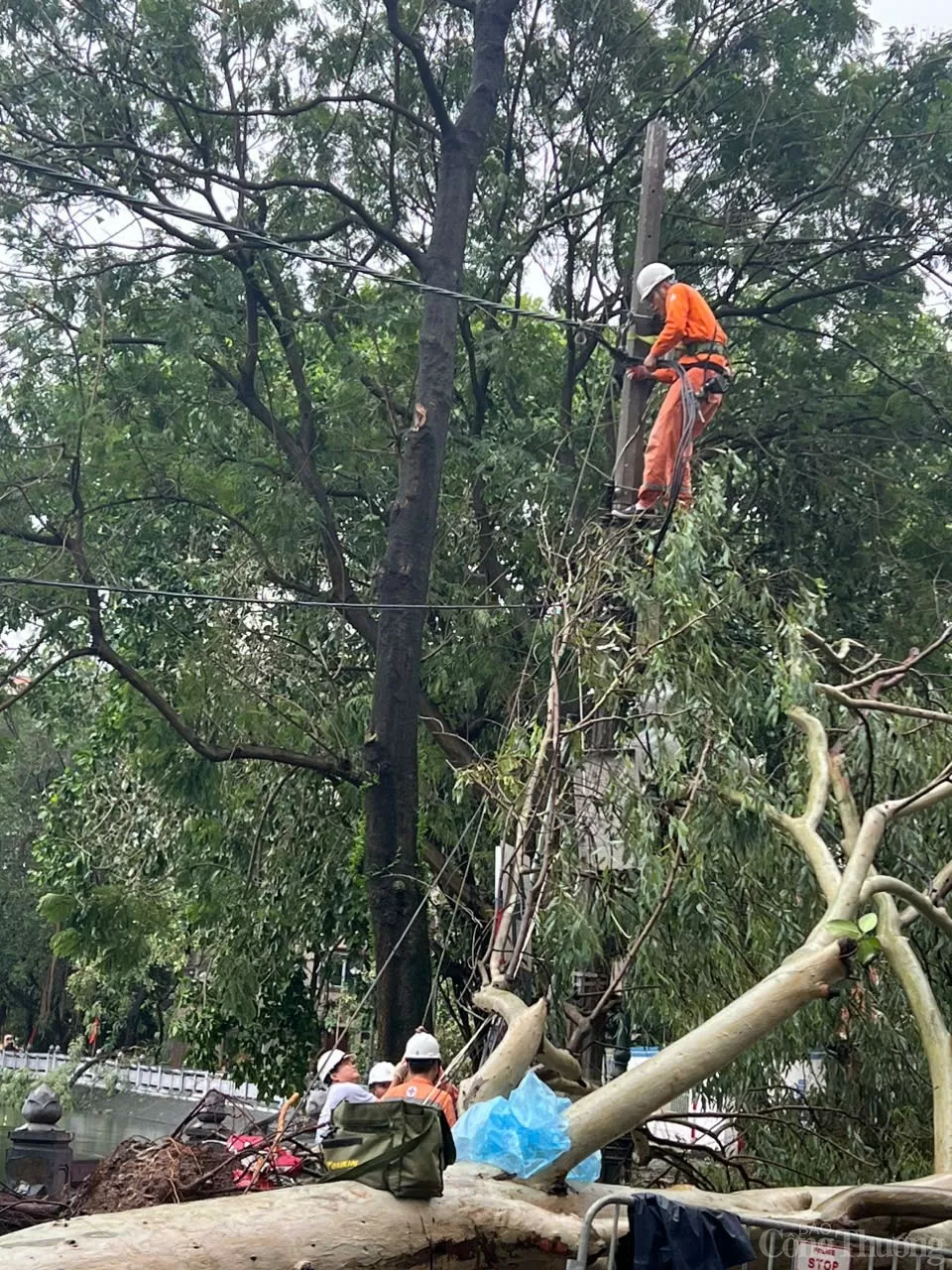 Cập nhật tình hình khắc phục sự cố sau bão số 3 của ngành điện Hà Nội