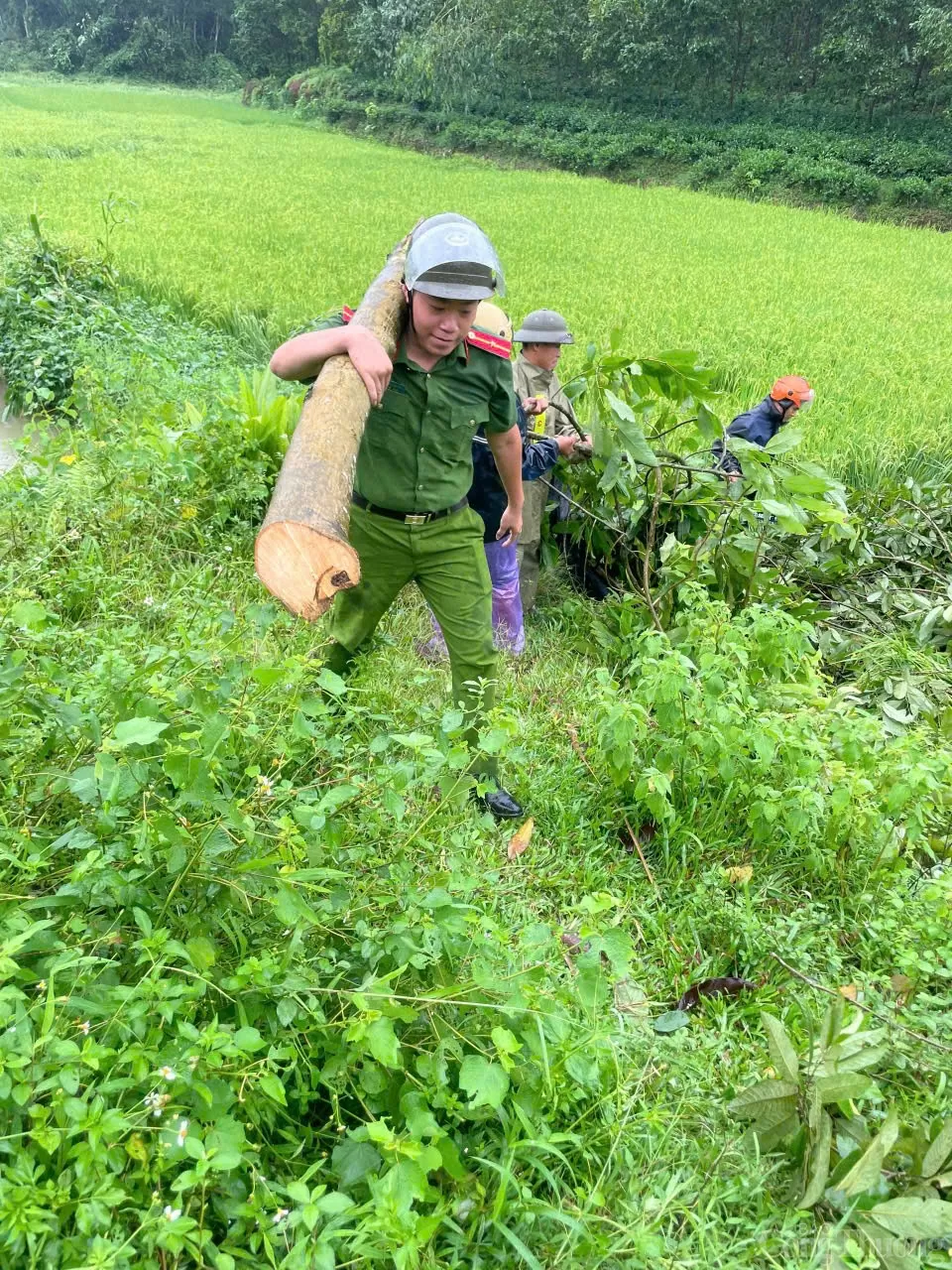 Thái Nguyên: Lực lượng Công an hỗ trợ người dân khắc phục hậu quả do bão