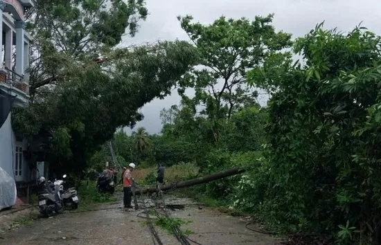 Ngành điện Tuyên Quang nỗ lực khắc phục sự cố do bão số 3 gây ra