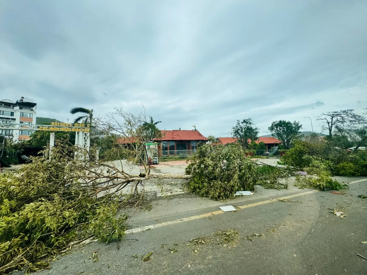 Thành phố Hạ Long, Quảng Ninh hoang tàn sau cơn “cuồng nộ” của bão số 3 Yagi