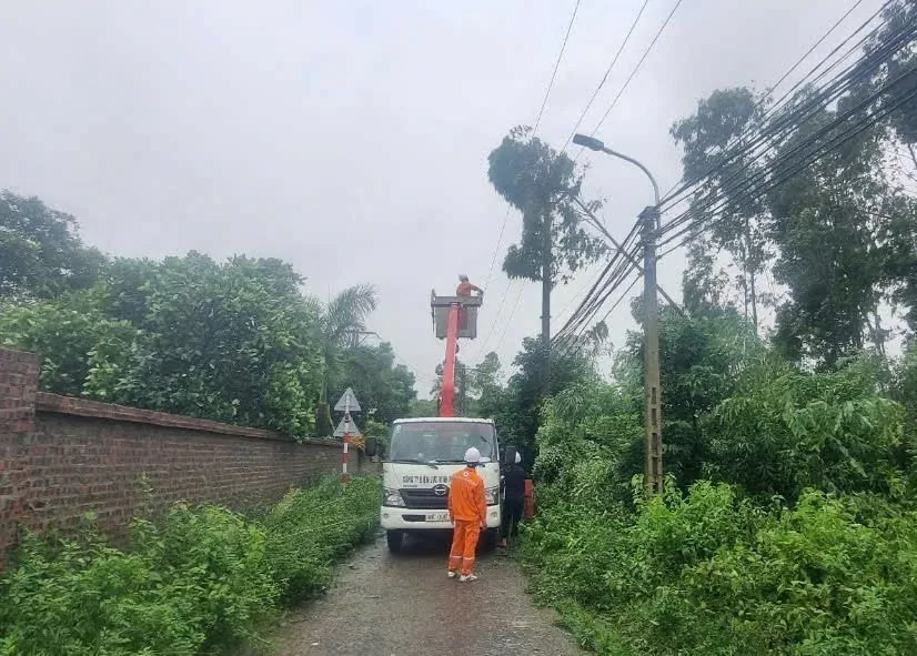 PC Vĩnh Phúc khắc phục sự cố do cơn bão số 3 (Yagi) gây ra