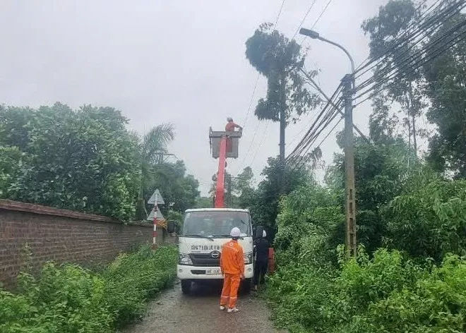 PC Vĩnh Phúc khắc phục sự cố do cơn bão số 3 (Yagi) gây ra