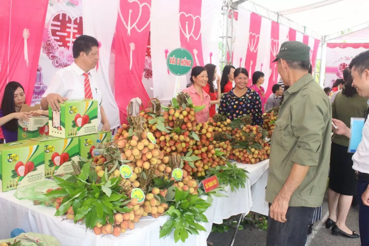 Vải thiều Thanh Hà là một trong những sản vật của Hải Dương được nhiều người tiêu dùng yêu thích