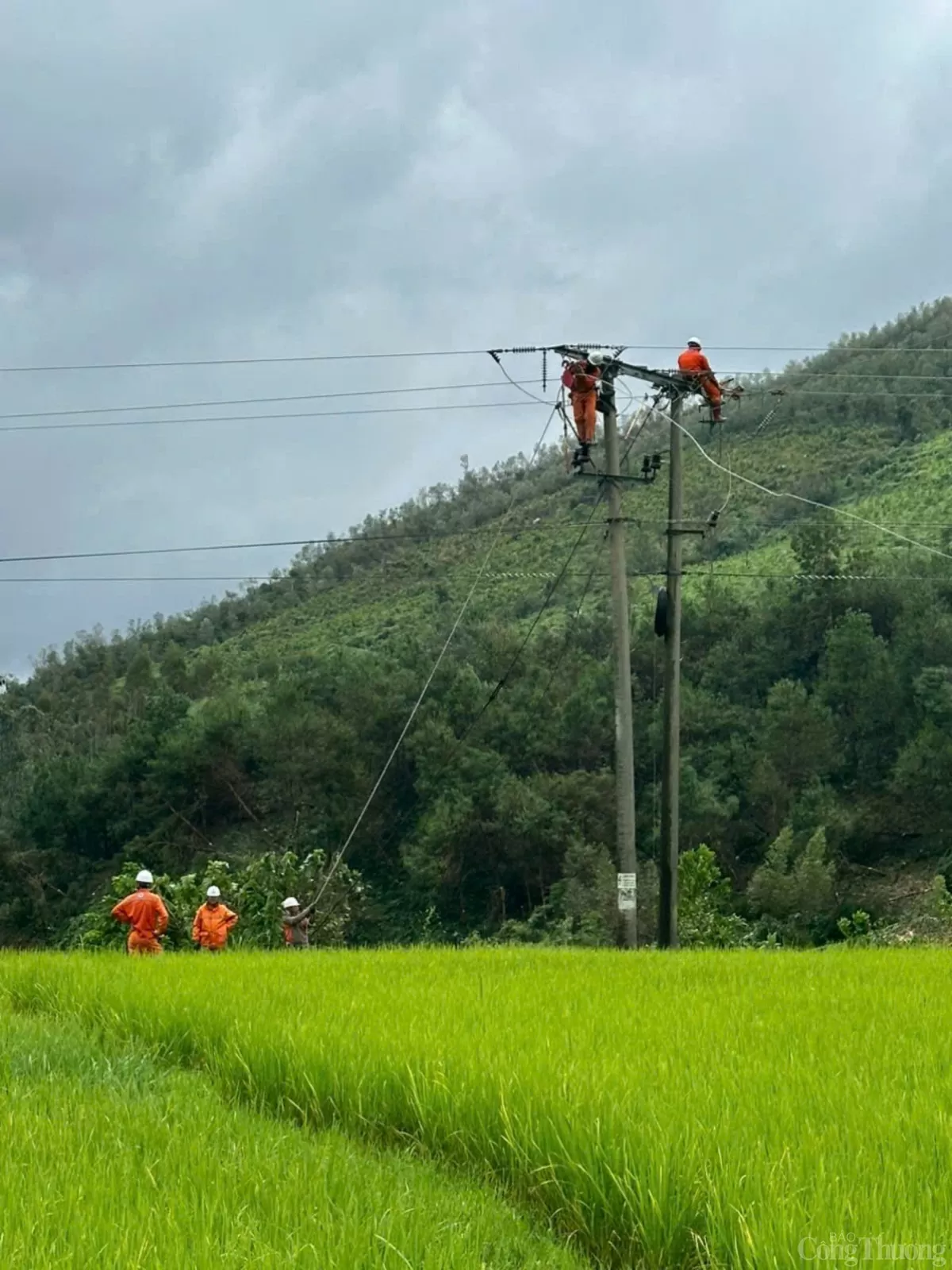 Điện lực 4 tỉnh tăng cường nhân lực cho Quảng Ninh khắc phục sự cố lưới điện