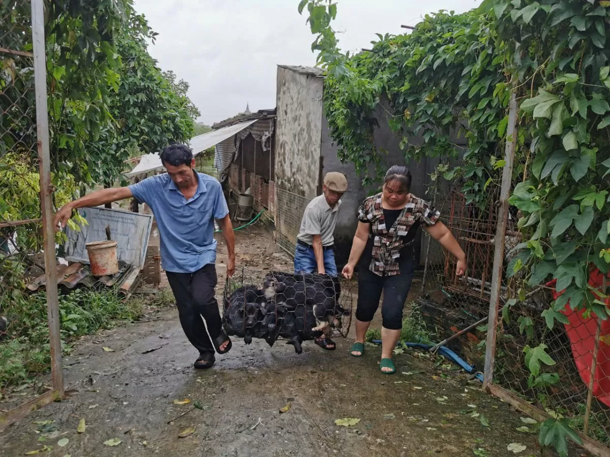 Cập nhật hình ảnh trực tiếp tình hình mưa lũ tại Hà Nội