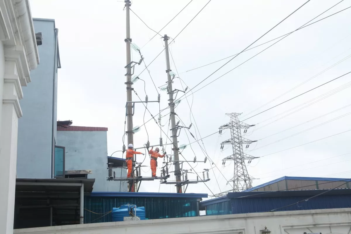 Điện lực Hải Phòng 'dồn lực' khắc phục nhanh các sự cố, cấp điện trở lại cho nhân dân Điện lực Hải Phòng 'dồn lực' khắc phục nhanh các sự cố, cấp điện trở lại cho nhân dân