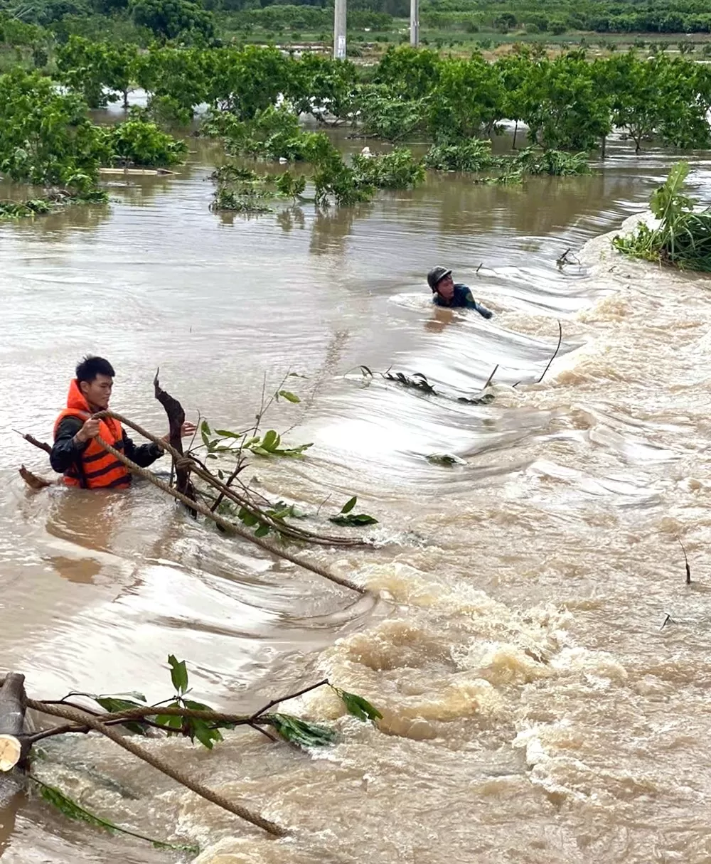 Những người lính thời bình