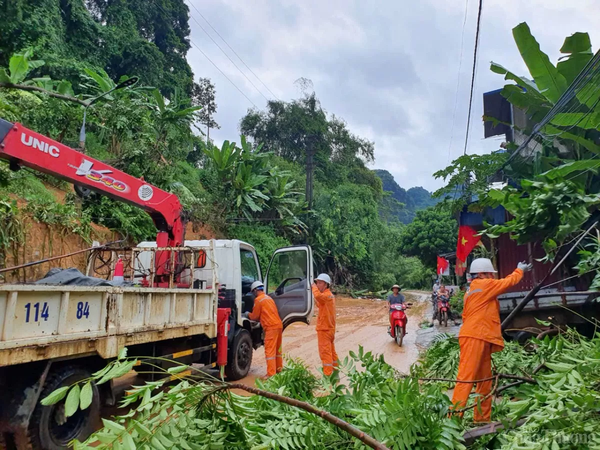 Điện lực Thái Nguyên dồn lực khắc phục sự cố lưới điện sau bão số 3 Điện lực Thái Nguyên dồn lực khắc phục sự cố lưới điện sau bão số 3