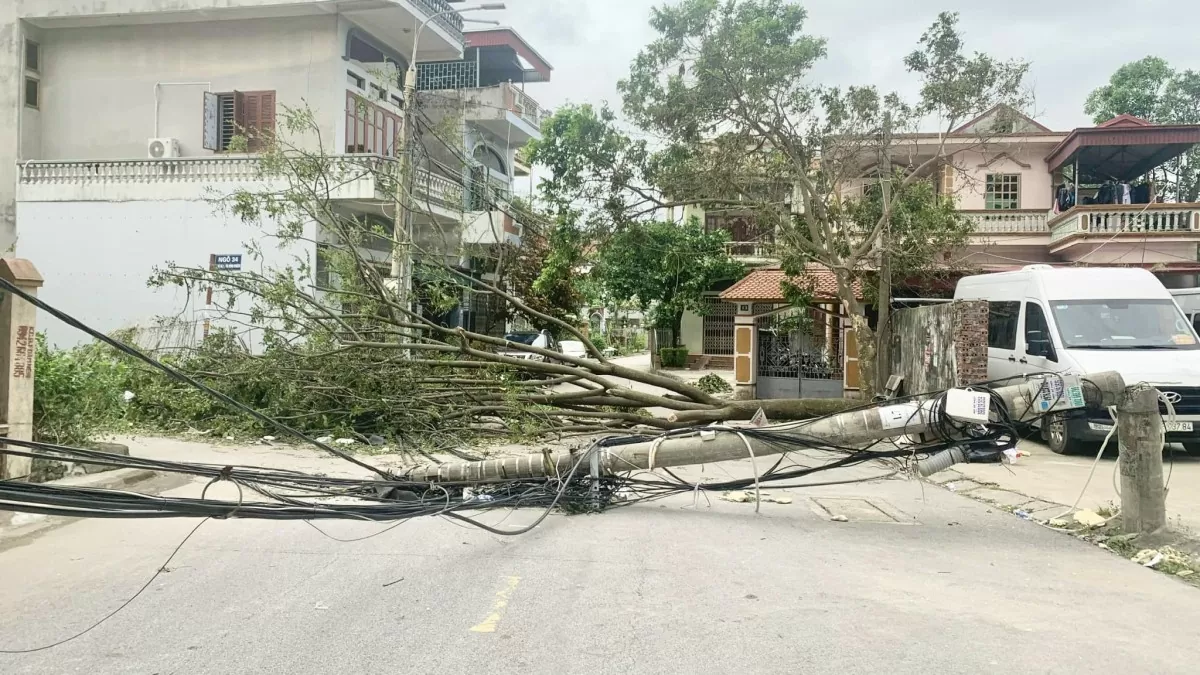 Cột điện gãy đổ ở Quảng Ninh do bão Yagi: Đừng suy diễn, quy chụp thiếu căn cứ