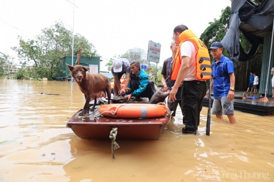 ha noi nguoi dan boi thuyen giua pho de chay lu