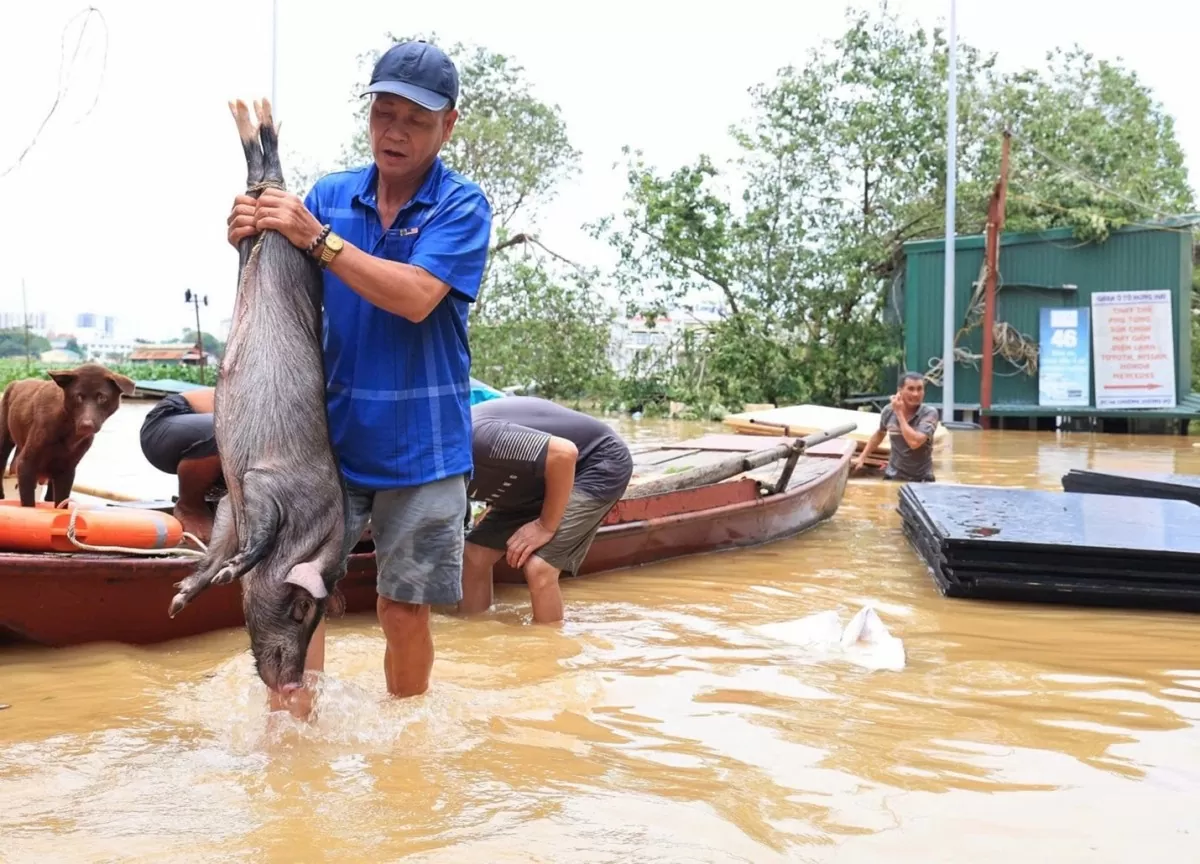 Hà Nội: Người dân bơi thuyền giữa phố để ... 'chạy lũ'