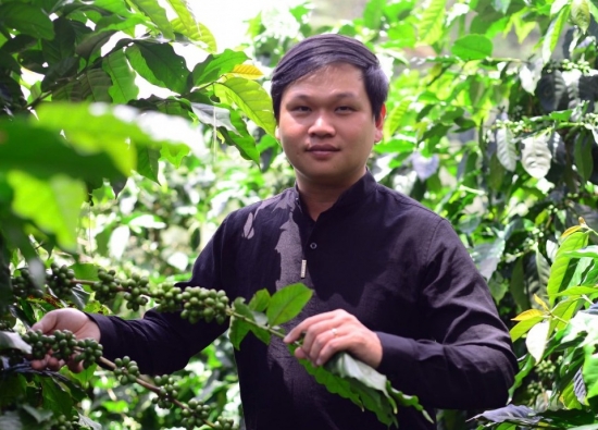 chang trai 8x len pho nui da lat lien ket voi cac nong ho trong 100ha ca phe huu co