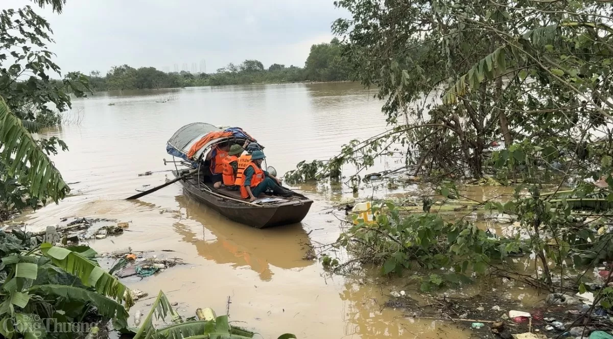 Nước lũ sông Hồng dâng cao, người trồng đào Nhật Tân lo mất mùa