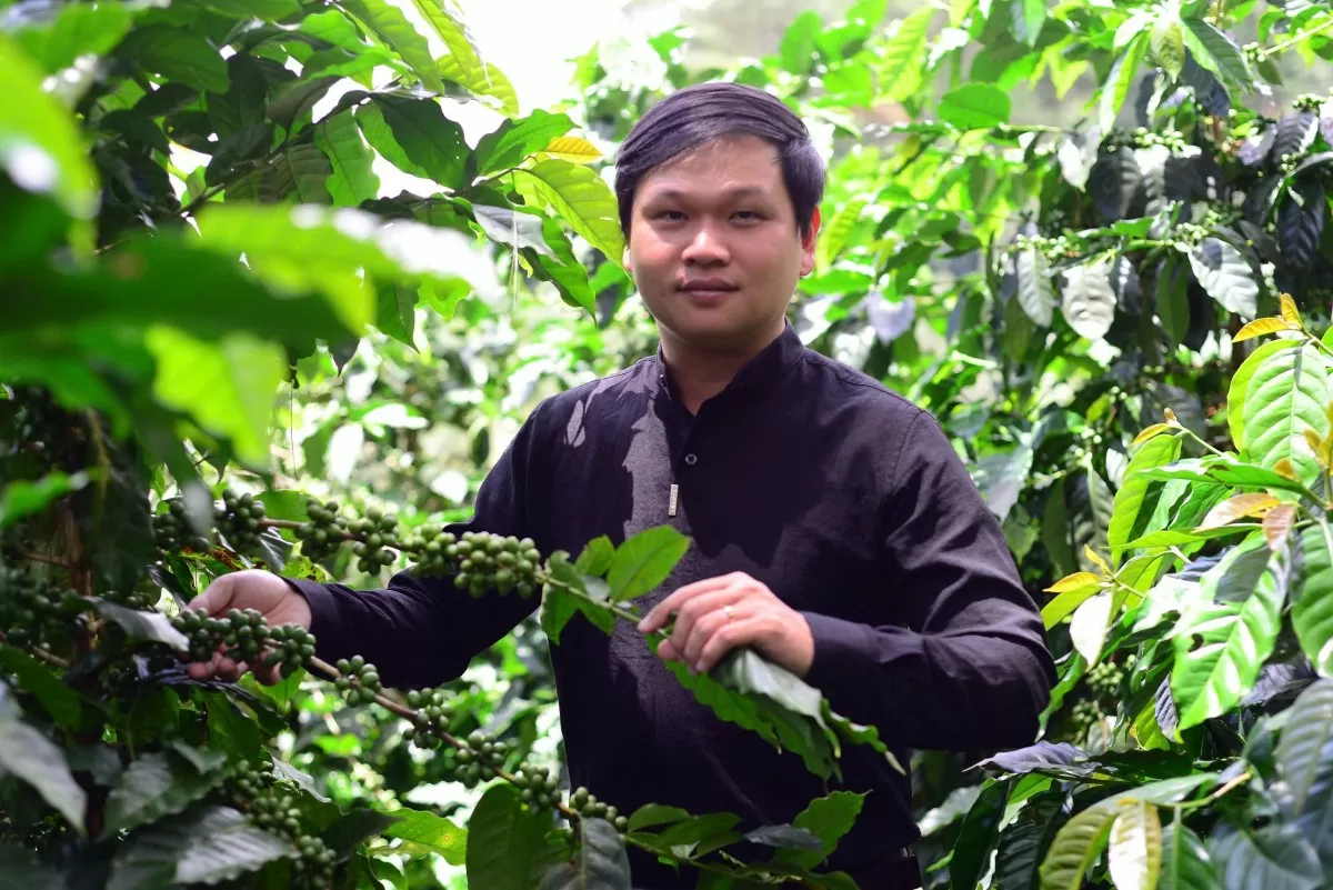 Chàng trai 8x lên phố núi Đà Lạt liên kết với các nông hộ trồng 100ha cà phê hữu cơ Chàng trai 8x lên phố núi Đà Lạt liên kết với các nông hộ trồng 100ha cà phê hữu cơ