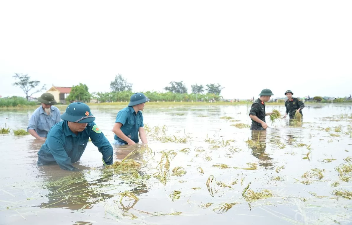 Hà Nội: Kiểm tra công tác ứng phó với mưa lũ tại huyện Ba Vì