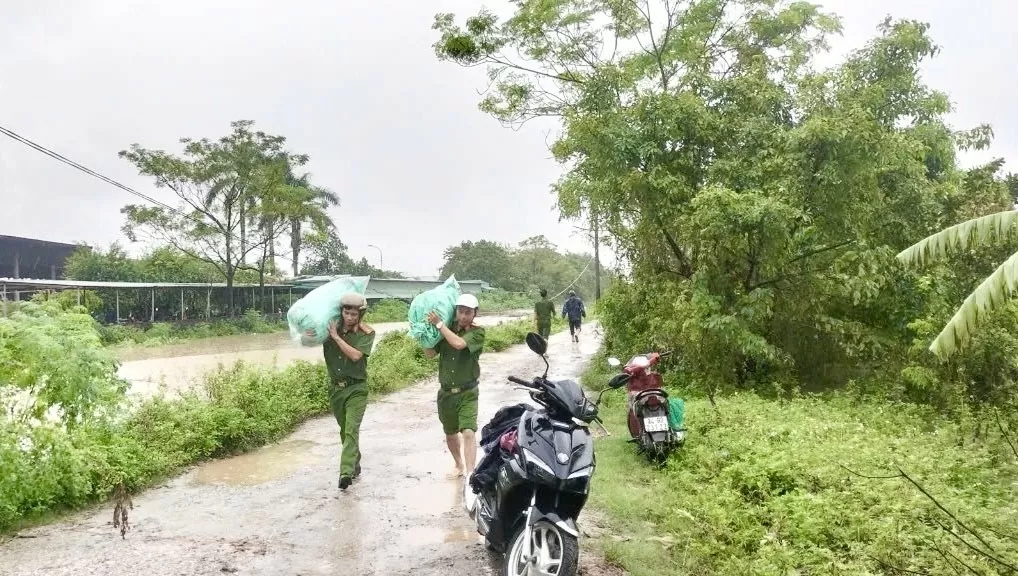 Hà Nam chủ động ứng phó, theo dõi chặt chẽ,khắc phục tình hình mưa lũ