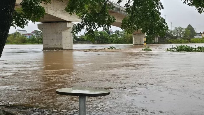 Thông tin vỡ đê tại Thái Bình là hoàn toàn sai sự thật