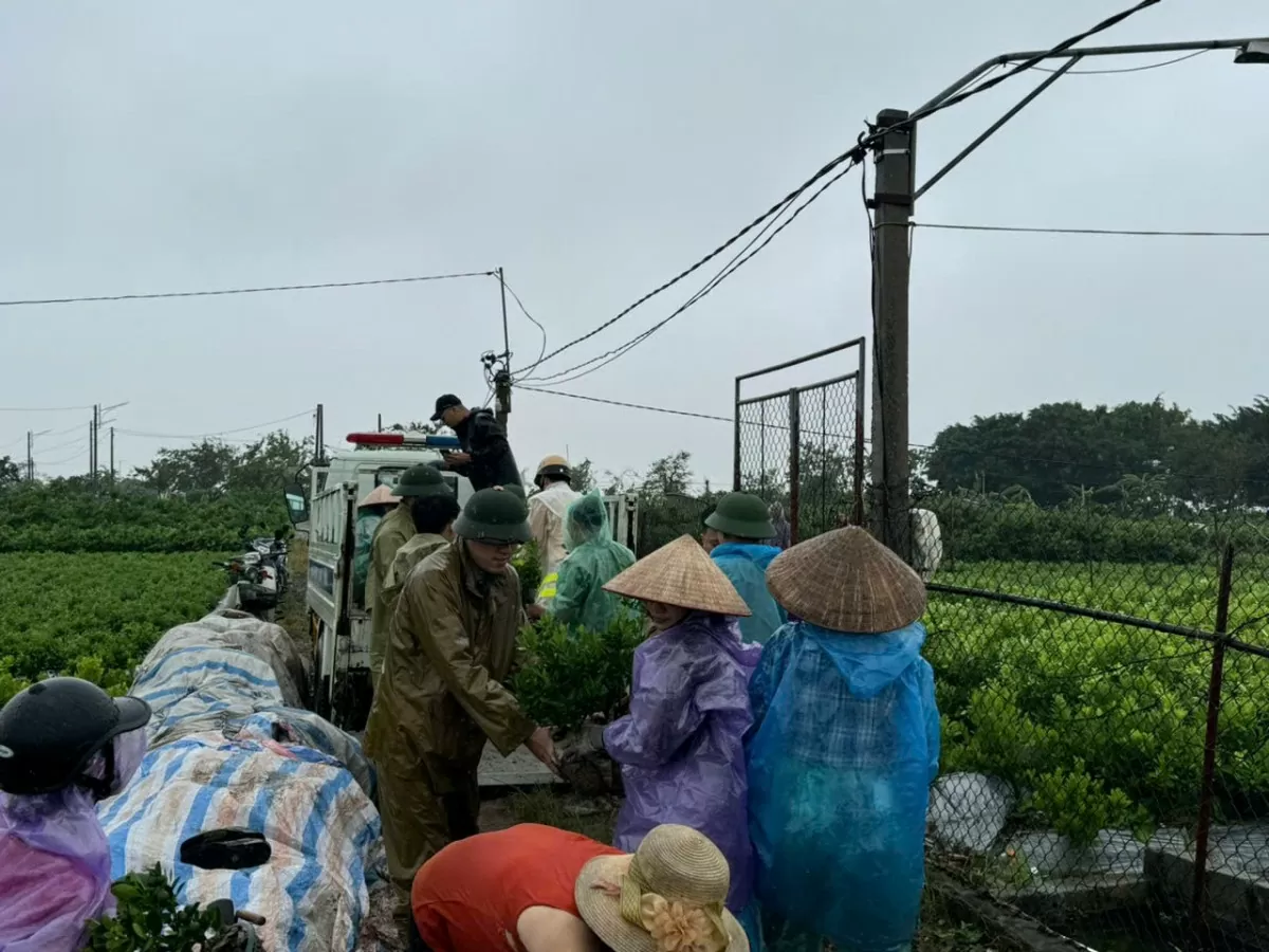 Cập nhật: Toàn cảnh tình hình các địa phương gồng mình chống mưa lũ, ngập lụt, sạt lở