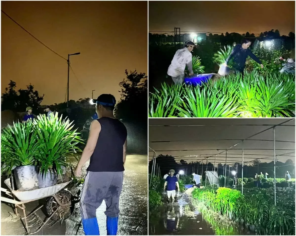 Cập nhật tình hình mưa lũ tại các tỉnh thành hôm nay