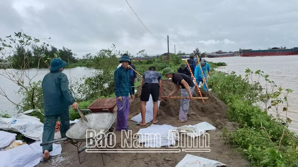 Nam Định: Nước sông Ninh Cơ dâng cao, tràn nước đê bối xã Phương Định