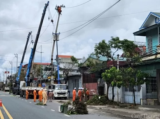 Công ty Điện lực Quảng Ninh cấp điện kịp thời cho các khu vực quan trọng