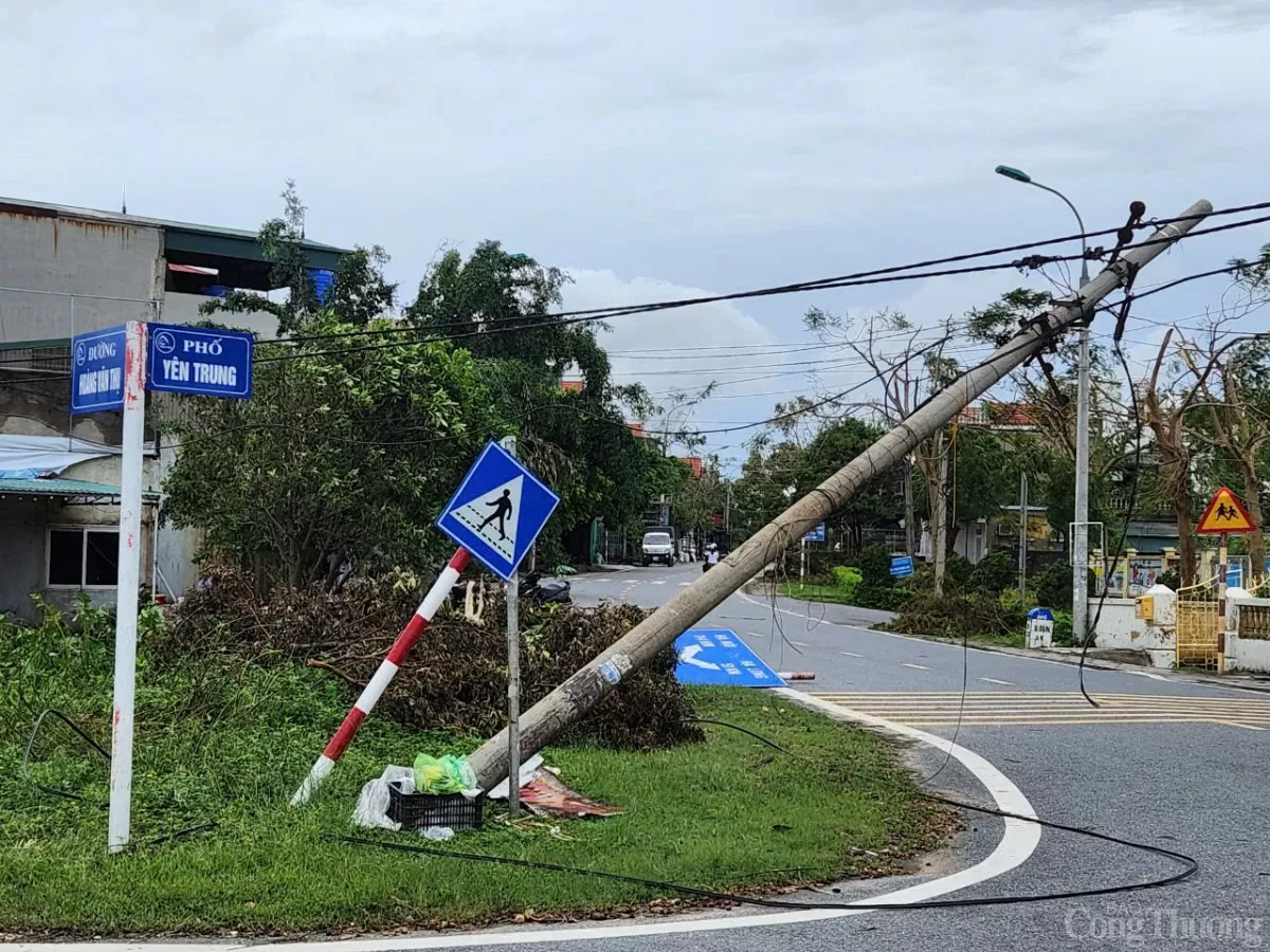 Công ty Điện lực Quảng Ninh cấp điện kịp thời cho các khu vực quan trọng