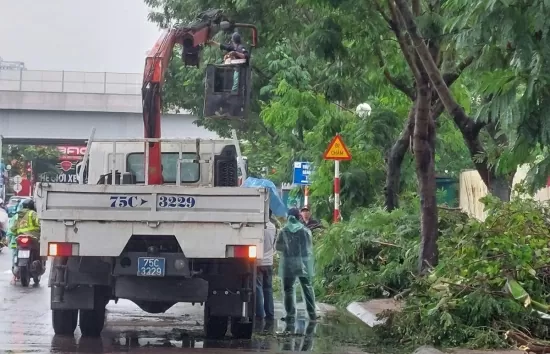 Hà Nội: Khẩn trương triển khai khắc phục thiệt hại về cây xanh gãy, đổ sau bão số 3