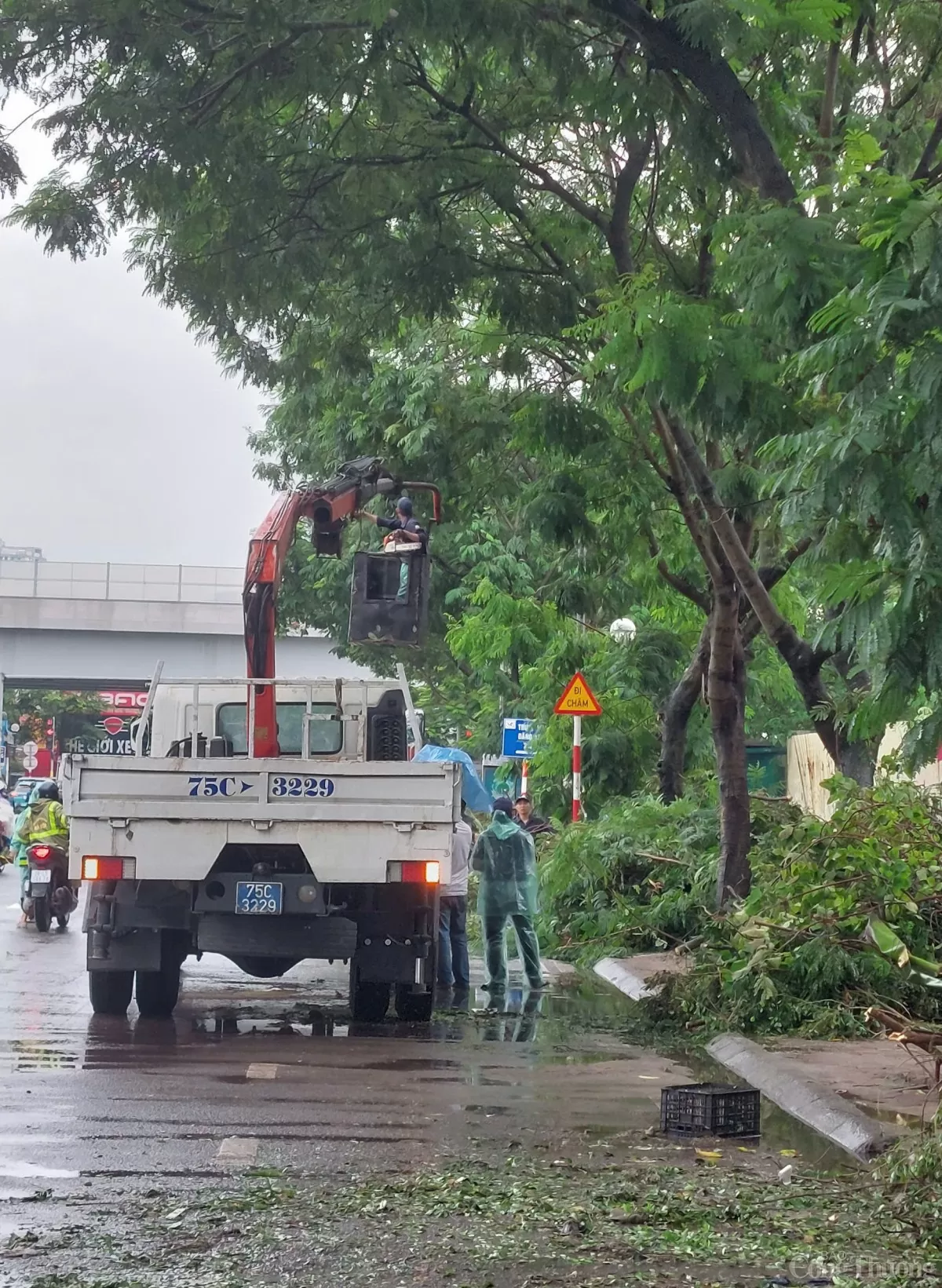 Hà Nội: Khẩn trương triển khai khắc phục thiệt hại về cây xanh gãy, đổ sau bão số 3