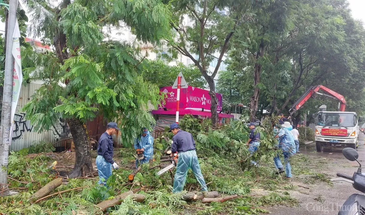 Hà Nội: Khẩn trương triển khai khắc phục thiệt hại về cây xanh gãy, đổ sau bão số 3