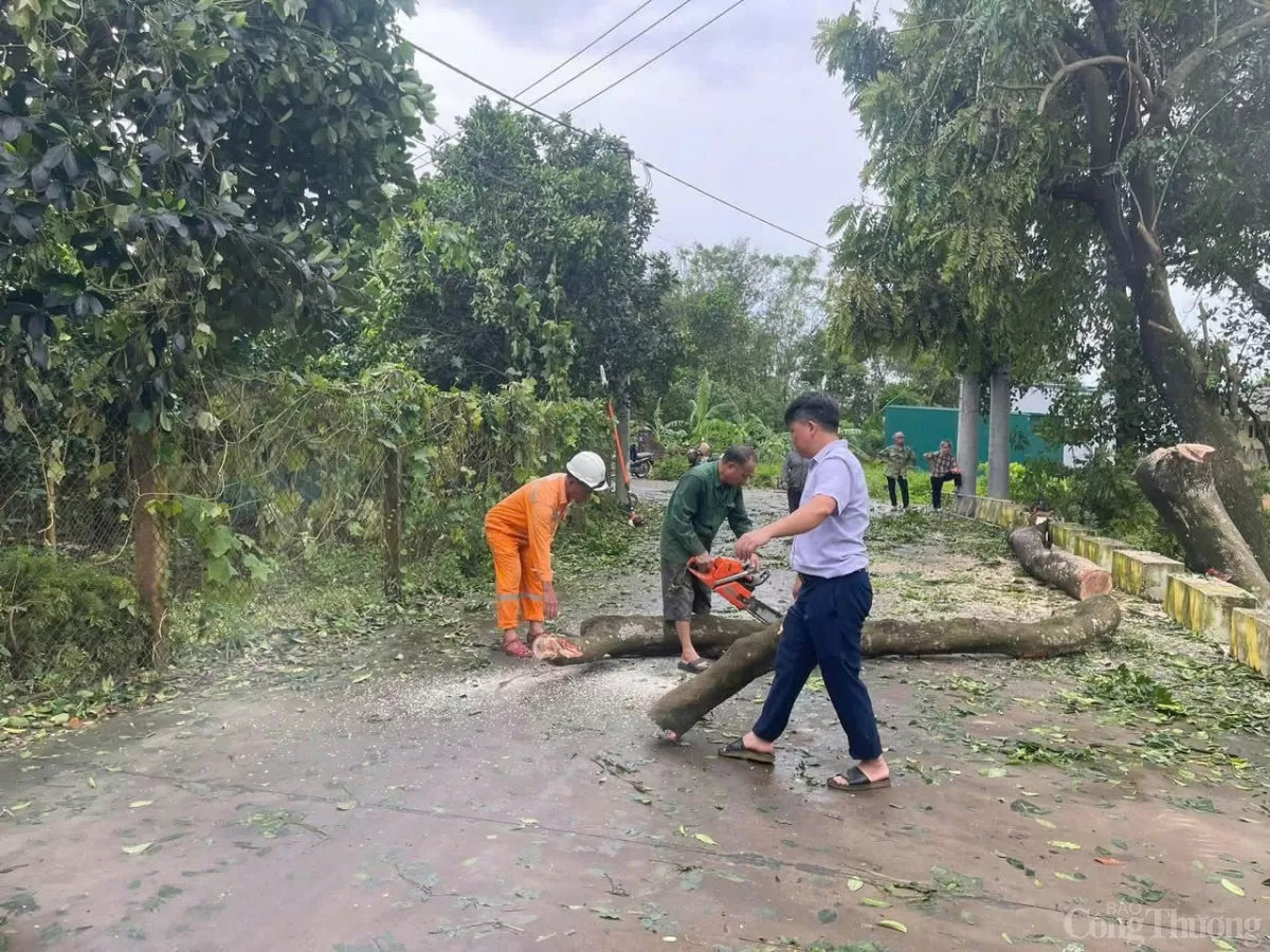 Công ty Điện lực Phúc Thọ hoàn thành xử lý sự cố lưới điện sau bão, chủ động chống lũ