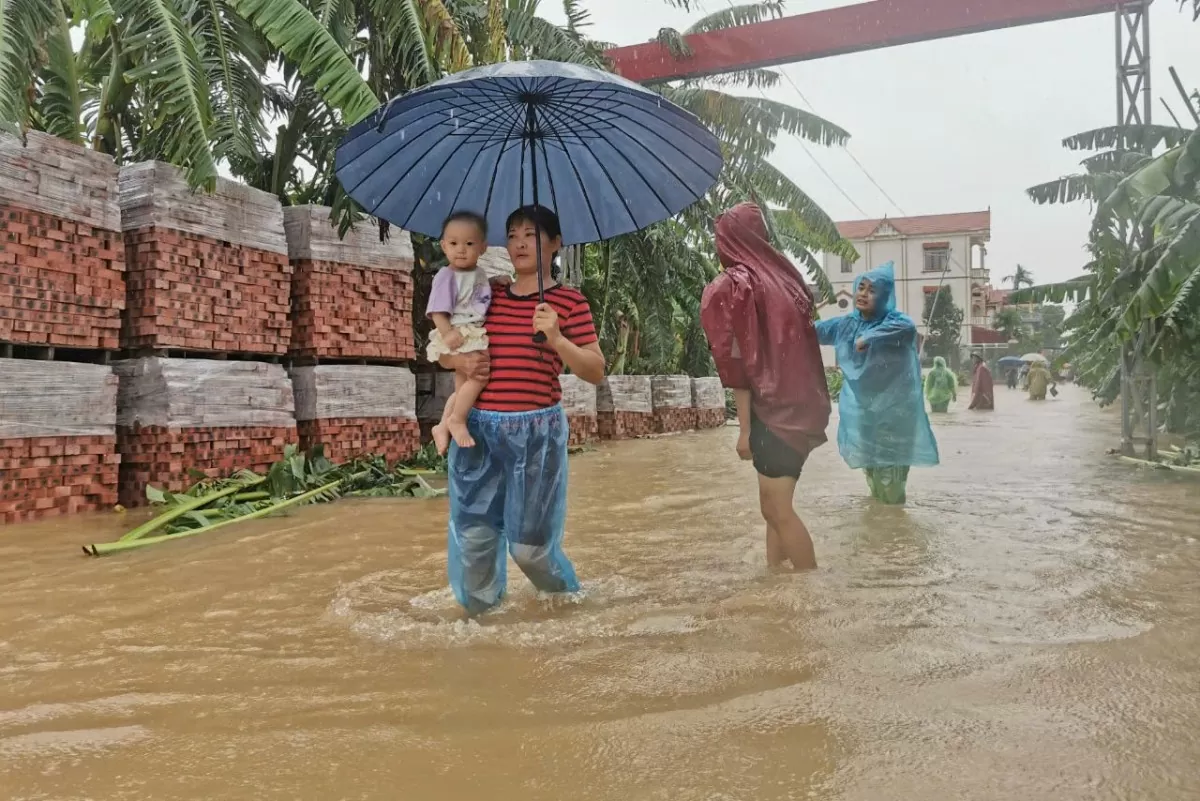 Chạy lũ ở Hà Nội: ‘Nước lên quá nhanh, tôi kẹt giữa sông Hồng khóc cùng đàn lợn’