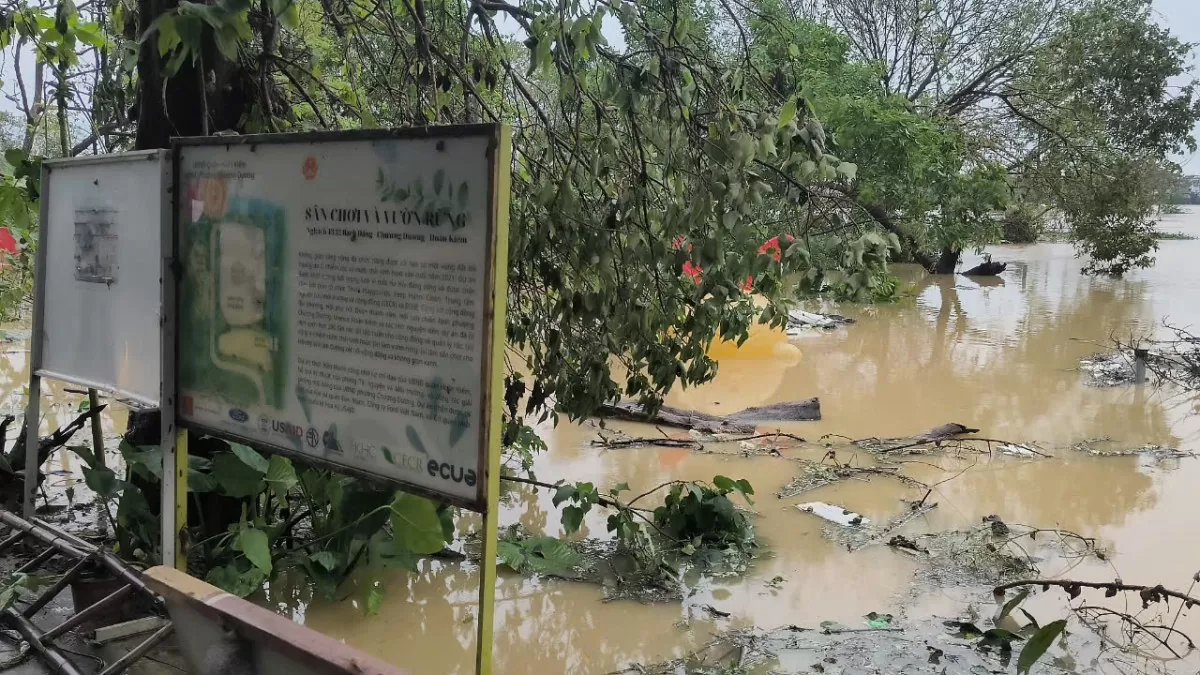 Hà Nội: Lũ sông Hồng sau bão số 3 gây ngập ngoài đê nhưng chưa phải 