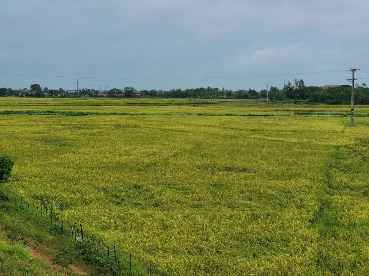 Trạm bơm Kim Xá góp phần hiệu quả trong phòng chống bão, mưa lũ tại Vĩnh Phúc