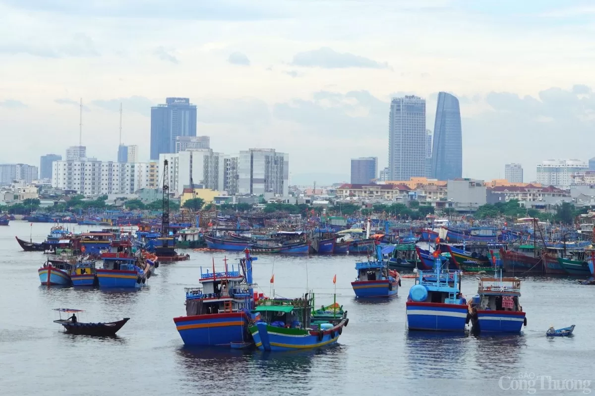 Theo quy hoạch Hệ thống cảng cá, khu neo đậu tránh trú bão cho tàu cá thời kỳ 2021-2030, tầm nhìn đến năm 2050 âu thuyền ở Đà Nẵng sẽ là 1 trong 5 trung tâm nghề cá lớn của cả nước.