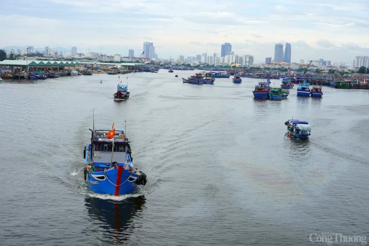 Quy mô của trung tâm nghề cá ở Đà Nẵng dự kiến mỗi ngày đón 300 lượt tàu cập cảng, lượng thủy sản qua cảng mỗi năm khoảng 100.000 tấn.