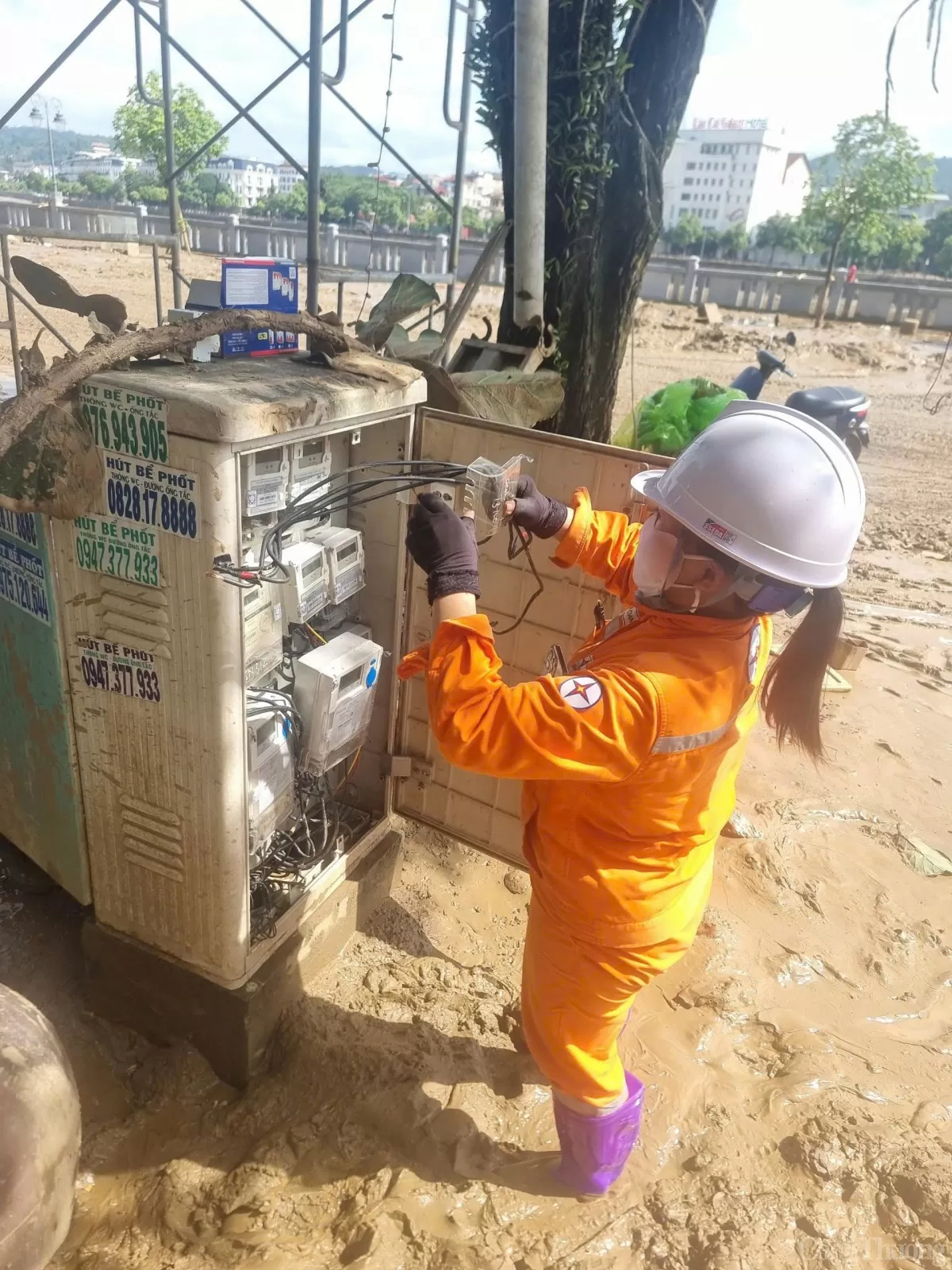 Công ty Điện lực Lào Cai vượt lên trong bão lũ, nỗ lực cấp điện trở lại