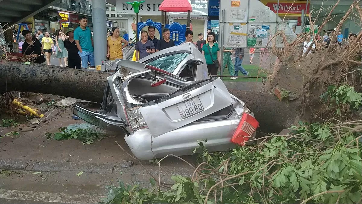 Công ty bảo hiểm ước tính thiệt hại do bão Yagi là hàng nghìn tỷ đồng