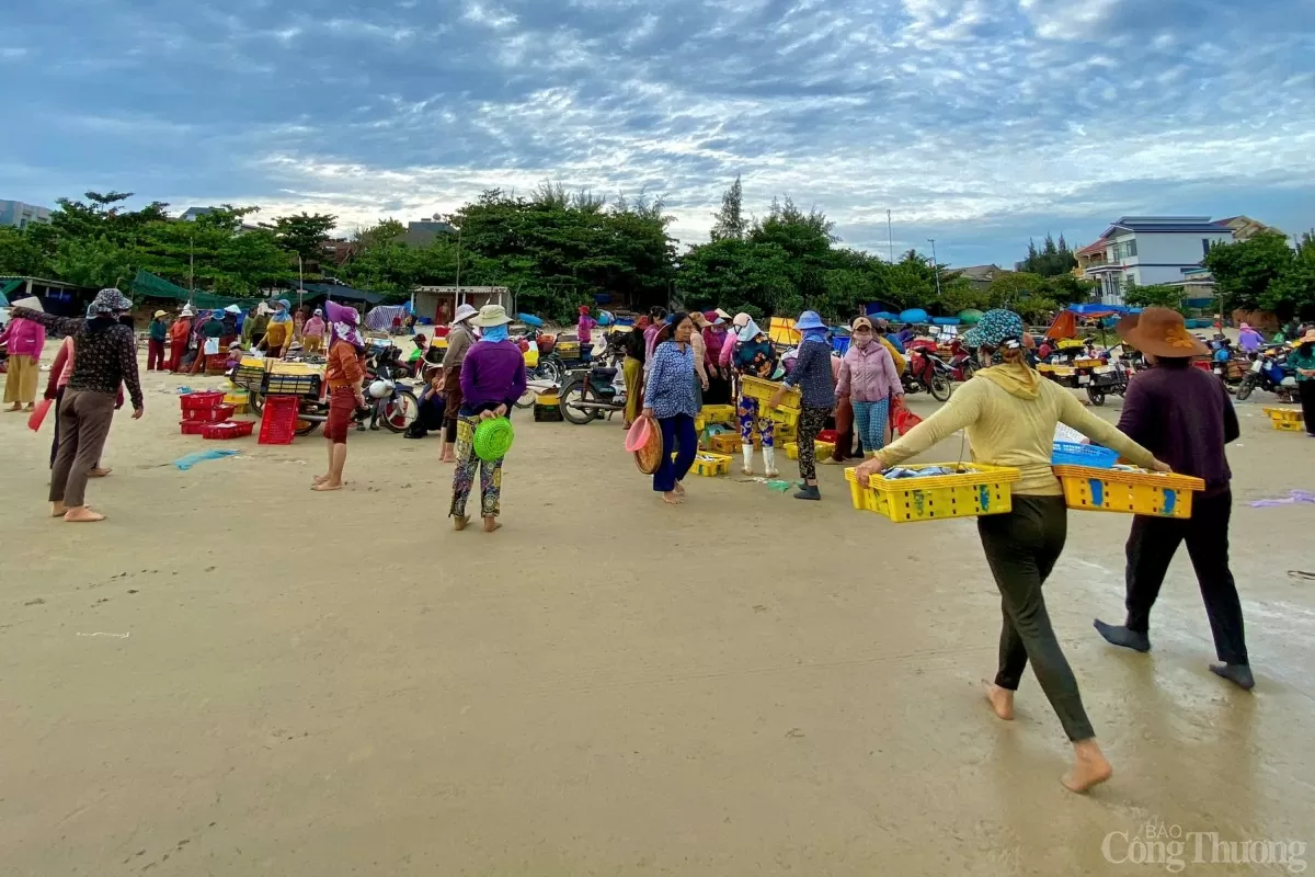 Vào sáng sớm, chợ cá Châu Thuận Biển họp ngay bên chân sóng, nơi nguồn hải sản tươi ngon được chuyển nhanh chóng đến các chợ trong tỉnh để kịp phục vụ phiên chợ sáng hàng ngày.