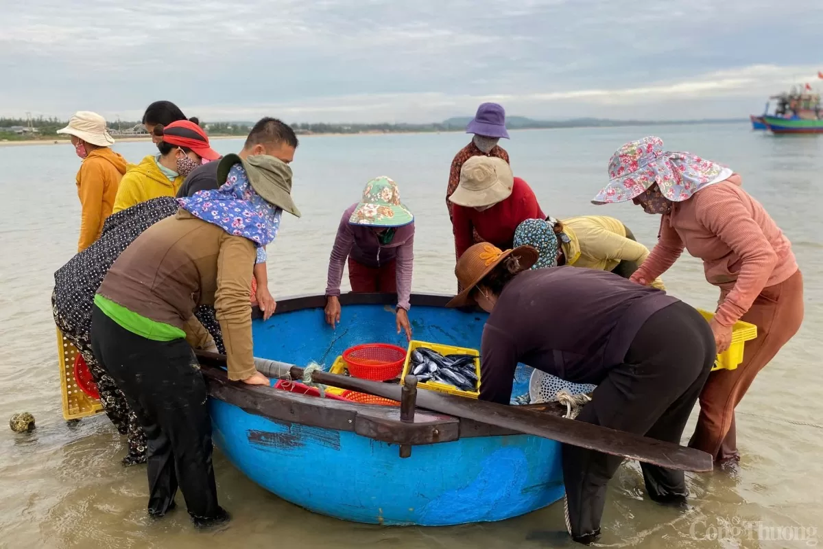 Từ 4h sáng, bà Nguyễn Thị Nhung đã tranh thủ ra chợ chờ tàu cập bờ để mua cá. Bà Nhung cho biết: “Hải sản được ngư dân đánh bắt gần bờ nên rất tươi, ngon, giá thành lại rẻ. Vì vậy, có rất nhiều tiểu thương tới đây để mua cá về bán lẻ, trung bình một ngày 