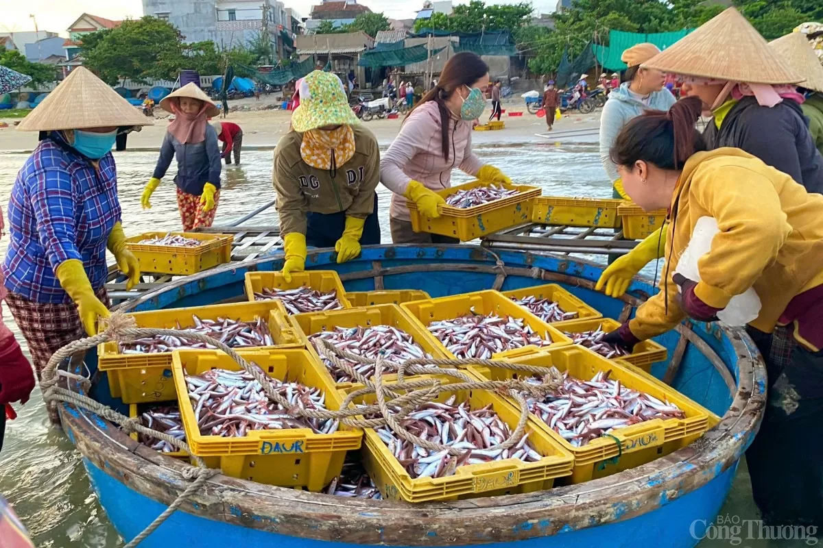 Những sọt cá tươi rói vượt biển vào chợ.