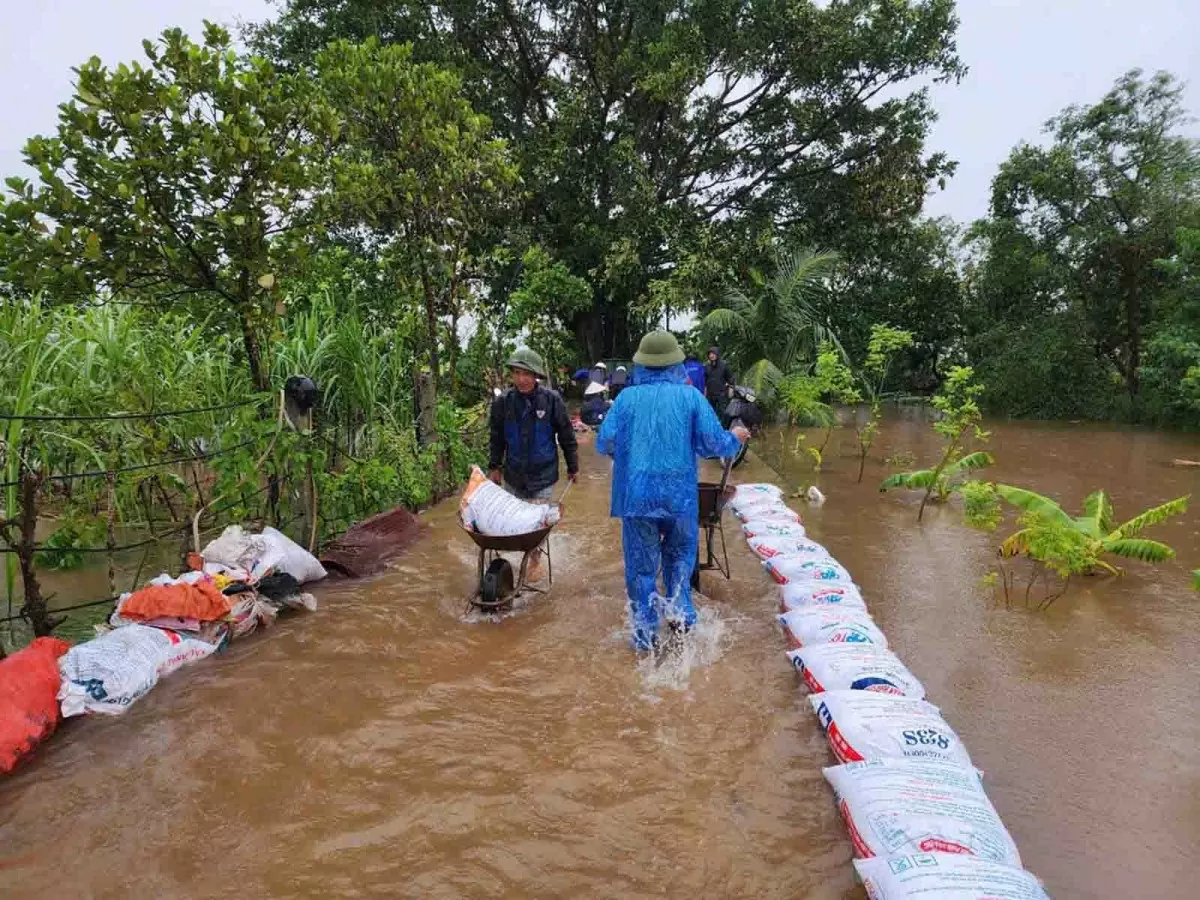 Các lực lượng sử dụng các bao cát để ngăn nước lũ xâm nhập thêm vào đồng ruộng ở khu cánh đồng Hà Chóc, xã Xuân Hòa (Ảnh: Nam Hồng)