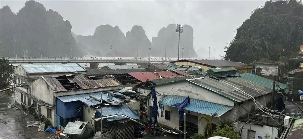 Siêu bão Yagi càn quét các tỉnh miền Bắc, đã gây thiệt hại nặng nề cho các DN thuỷ sản các tỉnh Quảng Ninh, Hải Phòng... (Ảnh: VASEP)