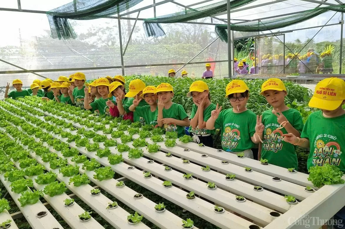 Đà Nẵng đang phát triển mô hình nông nghiệp công nghệ cao gắn với du lịch trải nghiệm