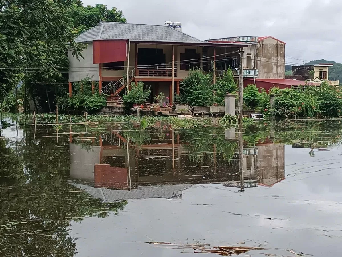 lũ sông bưởi