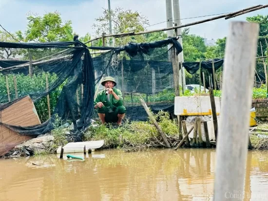 Xót xa làng hoa Tây Tựu sau bão Yagi